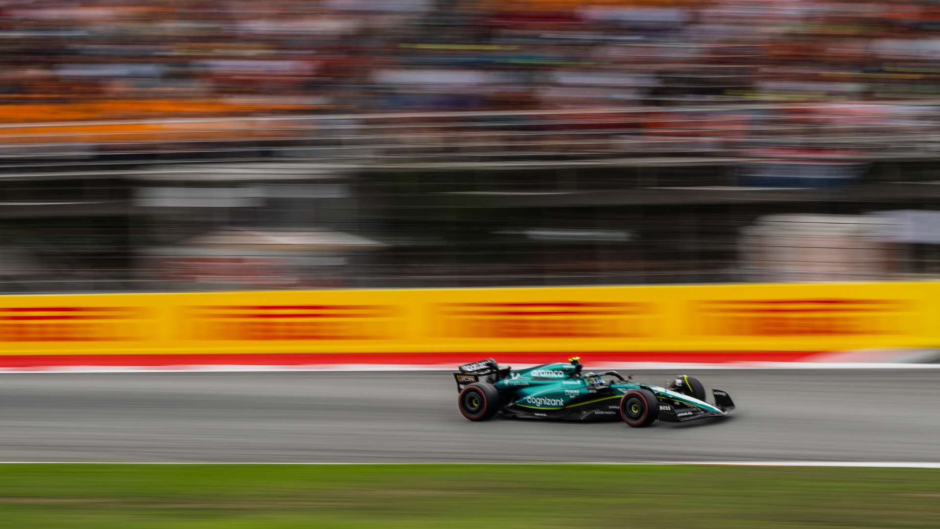 看看哪两支 看看哪两支