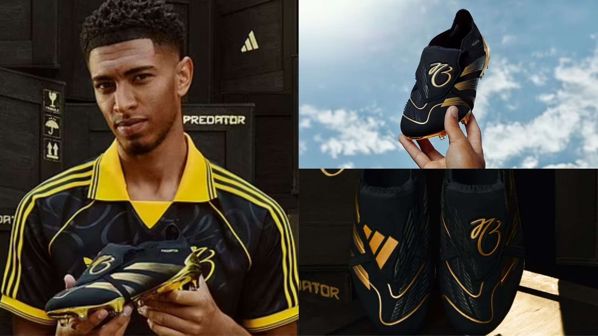 一举夺得金 一举夺得金