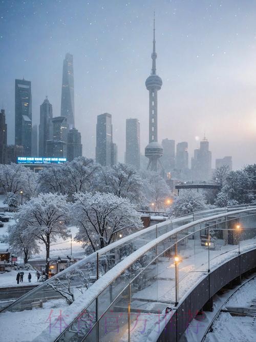 【有奖活动】坐标上海,此刻正在下雪!JRs所在的城市下第一场雪了吗? 【有奖活动】坐标上海,此刻正在下雪!JRs所在的城市下第一场雪了吗?